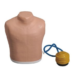 http://www.yuantech.de/115-175-thickbox/un-q7-pneumothorax-treating-simulator.jpg