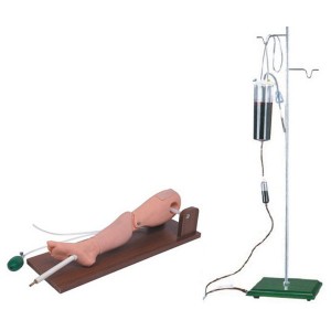 http://www.yuantech.de/122-182-thickbox/un-l65a-bone-marrow-puncture-and-femoral-veinpuncture-simulator.jpg