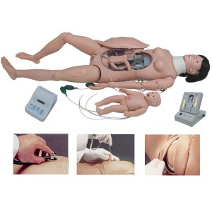 http://www.yuantech.de/156-217-thickbox/un-f55-delivery-and-maternal-and-neonatal-emergency-simulator.jpg