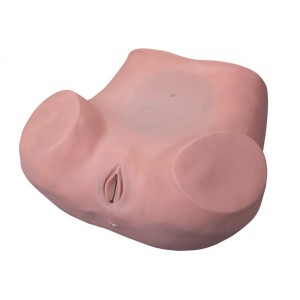 http://www.yuantech.de/161-222-thickbox/un-6-gynecological-training-simulator.jpg