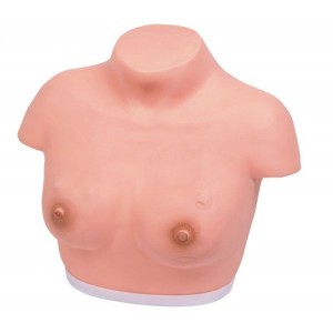 http://www.yuantech.de/168-229-thickbox/un-14a-inspection-and-palpation-of-breast-model.jpg
