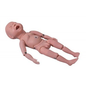 http://www.yuantech.de/179-240-thickbox/un-y2-newborn-baby-model.jpg