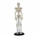 YA/L003 Human Skeleton Model 45cm Tall