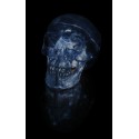 YA/L021G Human Clear Skull Model