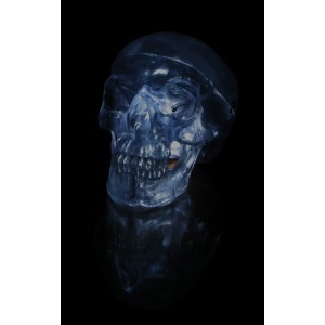 http://www.yuantech.de/239-552-thickbox/ya-l011g-human-clear-skull-model.jpg