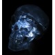YA/L021G Human Clear Skull Model