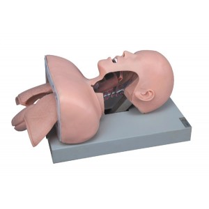 http://www.yuantech.de/40-97-thickbox/un-50-airway-intubation-simulator.jpg