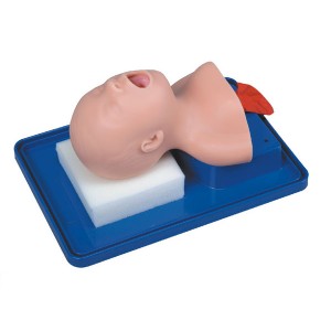 http://www.yuantech.de/43-100-thickbox/un-2a-newborn-baby-trachea-intubation-model.jpg