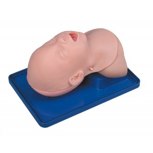 http://www.yuantech.de/44-101-thickbox/un-3a-infant-trachea-intubation-model.jpg