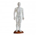 YA/A017 Acupuncture Model 50CM Male