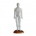YA/A019 Acupuncture Model 46CM Male