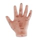 YA/A024 Hand Acupuncture Model 13CM