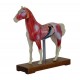 YA/A032  Horse Acupuncture Model