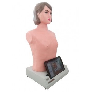 http://www.yuantech.de/626-898-thickbox/un-xfm-adult-palpation-and-ausculation-manikin-with-pad.jpg