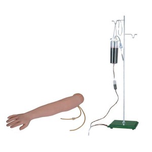 http://www.yuantech.de/83-141-thickbox/un-s1-arm-venipuncture-intramuscular-injection-training-model.jpg