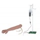 UN/S1 Arm Venipuncture & Intramuscular Injection Training Model